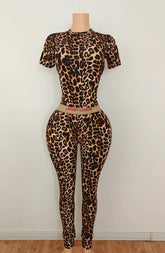Cheetah Set
